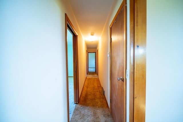 2056 Peek Home Rd, Dixon, IL 61021 - hallway featuring carpet flooring