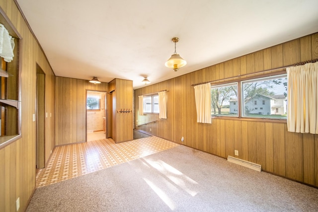 2056 Peek Home Rd, Dixon, IL 61021 - empty room with wooden walls and carpet