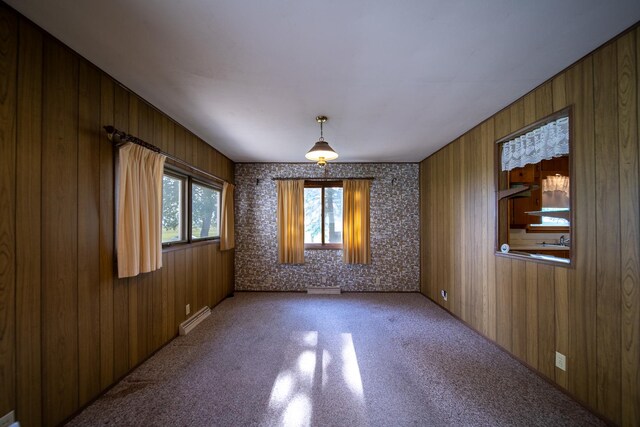 2056 Peek Home Rd, Dixon, IL 61021 - spare room featuring a baseboard heating unit, carpet flooring, and wooden walls