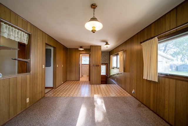 2056 Peek Home Rd, Dixon, IL 61021 - foyer featuring wooden walls and carpet floors