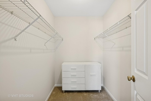 1087 Huntwyck Ct, Elgin, IL 60120 - walk in closet featuring dark carpet