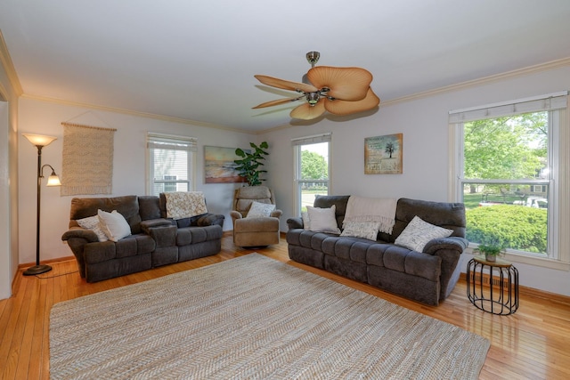 911 Woodland Hills Rd, Batavia, IL 60510 - living room with crown molding, hardwood / wood-style floors, healthy amount of natural light, a ceiling fan, and baseboards