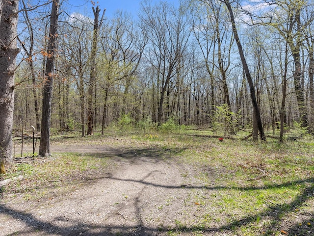 4528 1369th Rd, Earlville, IL 60518 - view of yard featuring a view of trees