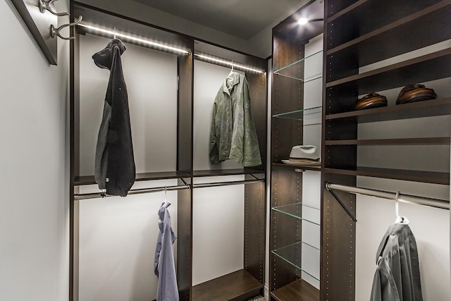 2164 Waterbury Ln W Unit 2164, Sycamore, IL 60178 - view of walk in closet