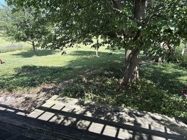 1487 Kathleen Way, Elk Grove Village, IL 60007 - view of green lawn
