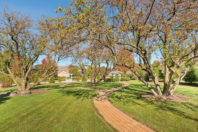 12000 W Donegal Ln, New Lenox, IL 60451 - view of green lawn