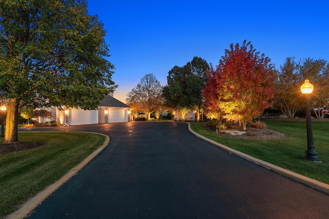 12000 W Donegal Ln, New Lenox, IL 60451 - view of road with street lights and curbs