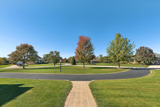 12000 W Donegal Ln, New Lenox, IL 60451 - view of home's community featuring a lawn