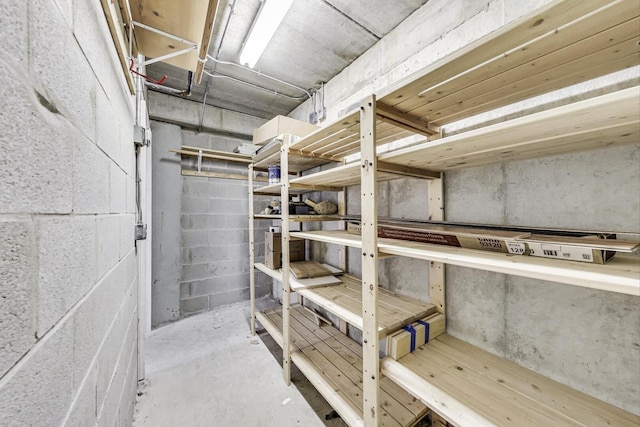 200 N Addison Ave Unit 306, Elmhurst, IL 60126 - view of storage room