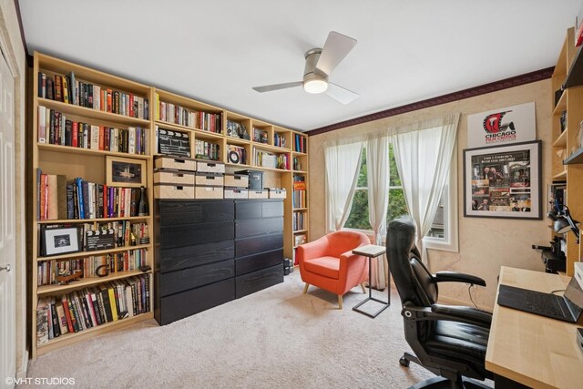 640 Yardley Ln, Hoffman Estates, IL 60169 - office with carpet flooring and a ceiling fan