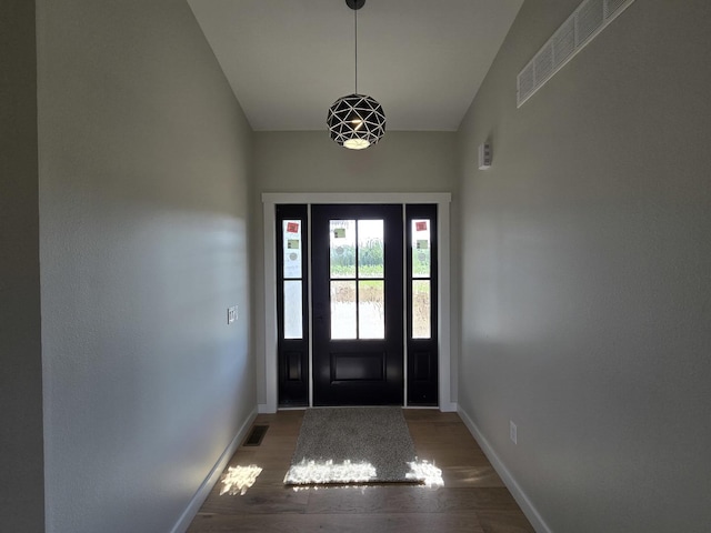 17-95 Lake Carroll Blvd, Lake Carroll, IL 61046 - foyer with wood finished floors and baseboards