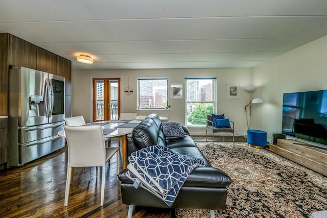 711 W Gordon Ter Unit 524, Chicago, IL 60613 - living room with dark wood-style floors