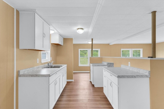 116 Seminole Ln, Loda, IL 60948 - kitchen with a sink, wood finished floors, plenty of natural light, and white cabinetry