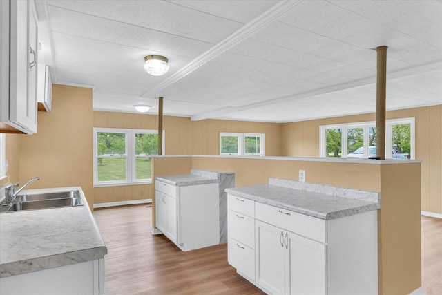 116 Seminole Ln, Loda, IL 60948 - kitchen featuring a sink, light wood-style flooring, white cabinetry, light countertops, and wooden walls