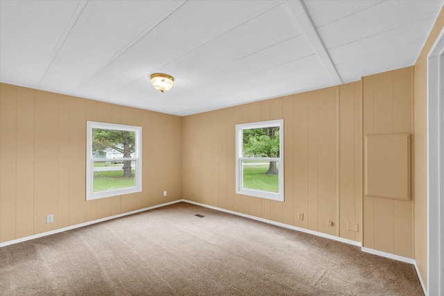 116 Seminole Ln, Loda, IL 60948 - empty room with carpet flooring
