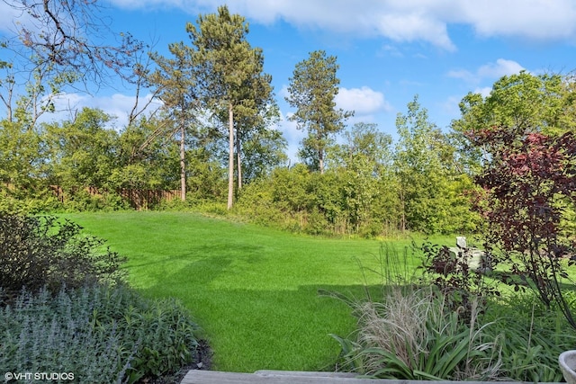 867 Downing Sq, Lincolnshire, IL 60069 - view of grassy yard