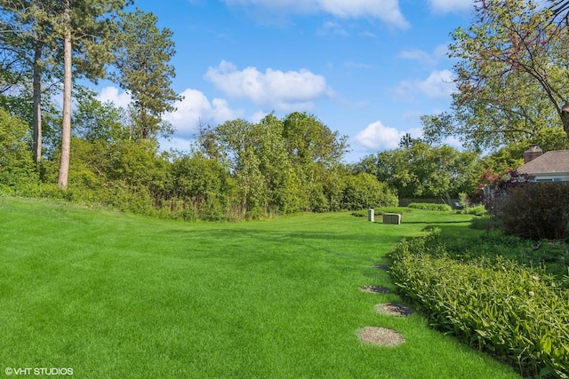867 Downing Sq, Lincolnshire, IL 60069 - view of grassy yard