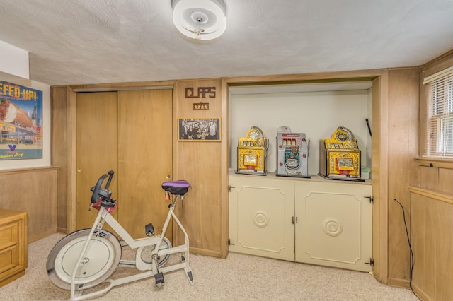 365 S Elm St, Itasca, IL 60143 - workout room featuring light colored carpet and wooden walls
