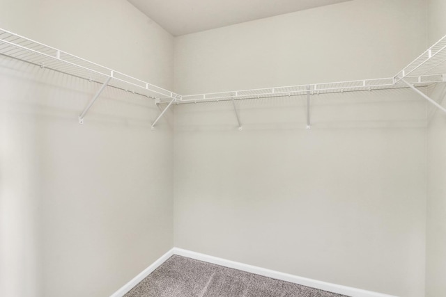 415 Highcroft Way, Lincolnshire, IL 60069 - spacious closet with carpet floors