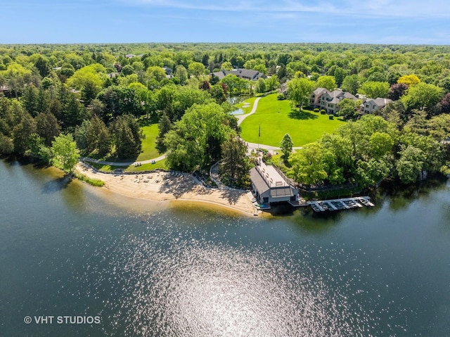 97 Thornhill Ln Unit D, Lake Barrington, IL 60010 - bird's eye view of a forest and a nearby body of water