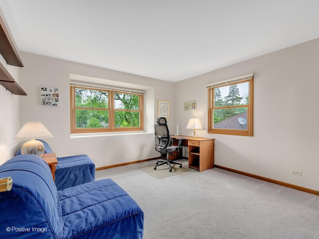 824 Dawes Ave, Wheaton, IL 60189 - carpeted home office with healthy amount of natural light