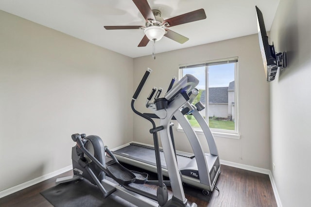 801 S Parkside Dr, Round Lake, IL 60073 - exercise room with baseboards, a ceiling fan, and wood finished floors
