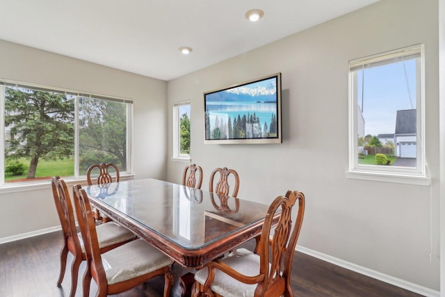 801 S Parkside Dr, Round Lake, IL 60073 - dining area featuring baseboards, healthy amount of natural light, dark wood-style floors, and recessed lighting