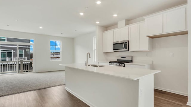 2156 Glacier St, Mundelein, IL 60060 - kitchen with a sink, stainless steel appliances, an island with sink, wood finished floors, and baseboards