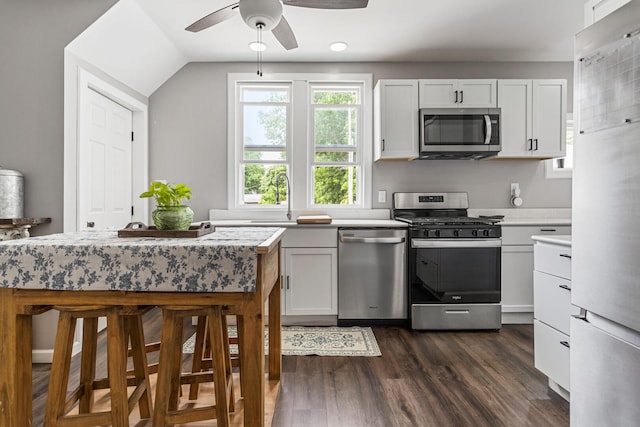 1104 W Church St, Champaign, IL 61821 - kitchen with stainless steel appliances, ceiling fan, light countertops, dark wood-style flooring, and white cabinets