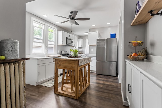 1104 W Church St, Champaign, IL 61821 - kitchen with stainless steel appliances, light countertops, white cabinetry, ceiling fan, and dark wood-style floors