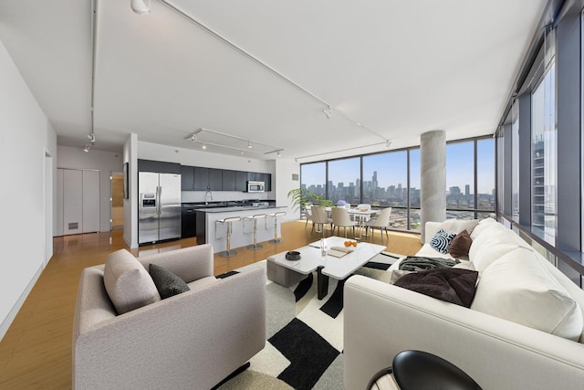 860 W Blackhawk St Unit 2102, Chicago, IL 60642 - living area featuring a skyline view, attic access, and light wood-style flooring