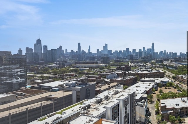 860 W Blackhawk St Unit 2102, Chicago, IL 60642 - skyline view