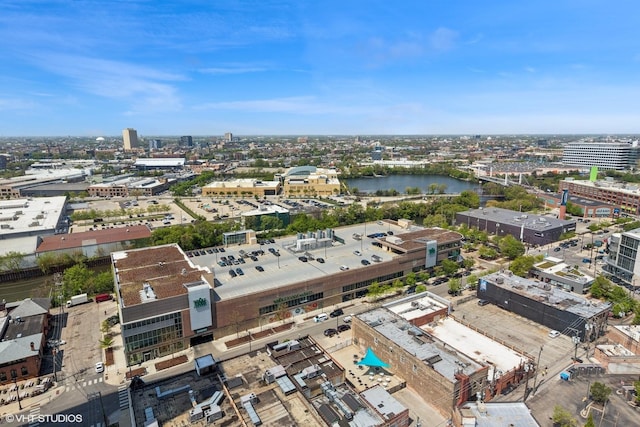 860 W Blackhawk St Unit 2102, Chicago, IL 60642 - view of urban area