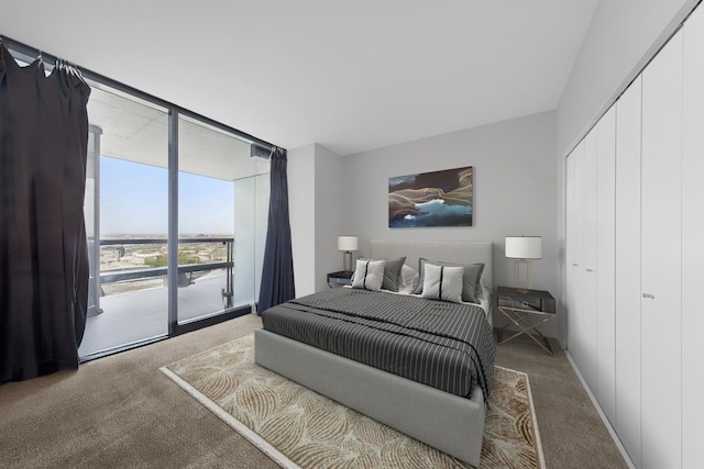 860 W Blackhawk St Unit 2102, Chicago, IL 60642 - bedroom featuring floor to ceiling windows, carpet, a closet, and access to outside