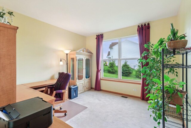 8610 Pebble Creek Ct, Wonder Lake, IL 60097 - carpeted office space featuring baseboards