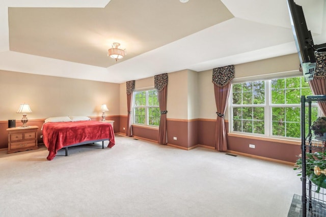 8610 Pebble Creek Ct, Wonder Lake, IL 60097 - bedroom featuring carpet floors, a raised ceiling, and baseboards