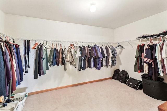 8610 Pebble Creek Ct, Wonder Lake, IL 60097 - walk in closet with carpet floors