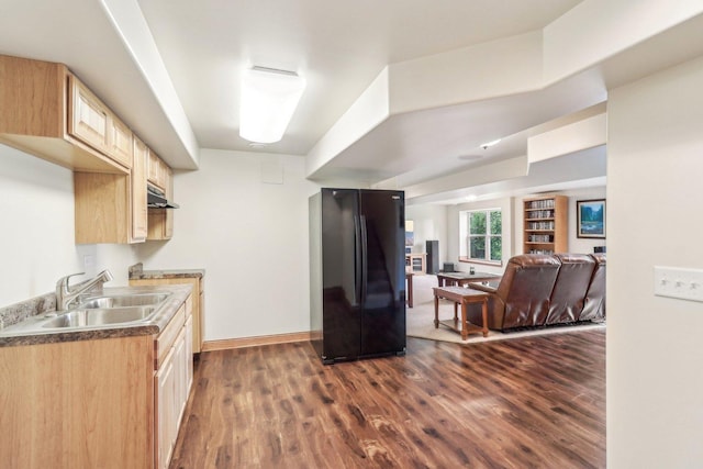 8610 Pebble Creek Ct, Wonder Lake, IL 60097 - kitchen with freestanding refrigerator, a sink, light brown cabinetry, dark wood-style floors, and open floor plan