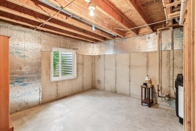 8610 Pebble Creek Ct, Wonder Lake, IL 60097 - view of basement