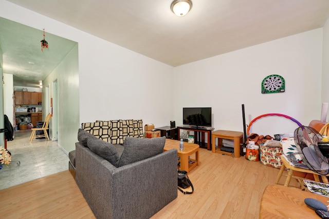 3307 S Wallace St, Chicago, IL 60616 - living area featuring wood finished floors