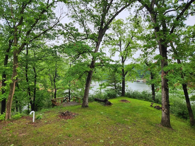 22 Cedar Ln, Putnam, IL 61560 - view of grassy yard with a water view