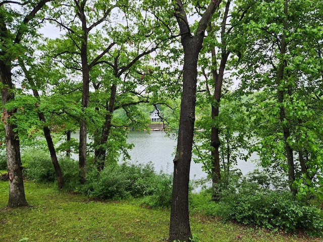 22 Cedar Ln, Putnam, IL 61560 - water view