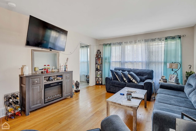 14245 Cottage Grove Ave, Dolton, IL 60419 - living area featuring light wood-style flooring