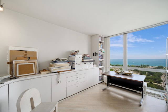 2400 N Lakeview Ave Unit 2803-04, Chicago, IL 60614 - office space featuring light wood-style floors and a water view