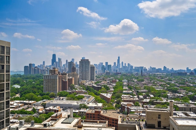 2400 N Lakeview Ave Unit 2803-04, Chicago, IL 60614 - skyline view