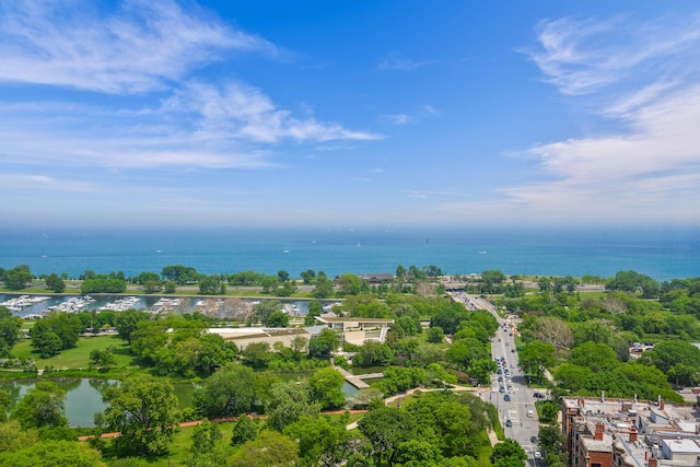 2400 N Lakeview Ave Unit 2803-04, Chicago, IL 60614 - drone / aerial view of a nearby body of water and a tree filled landscape