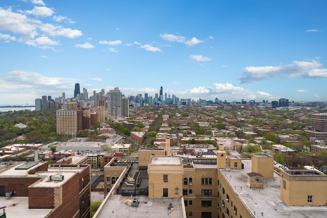 2400 N Lakeview Ave Unit 2803-04, Chicago, IL 60614 - skyline view