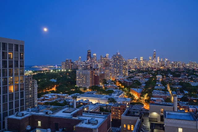 2400 N Lakeview Ave Unit 2803-04, Chicago, IL 60614 - view of city with a view of city lights