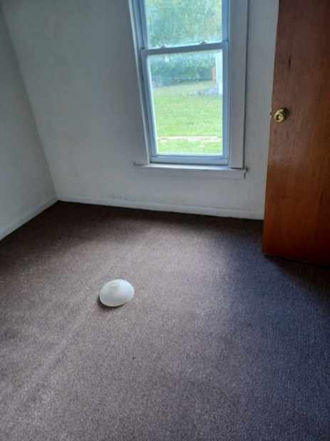 132 W 118th St, Chicago, IL 60628 - view of carpeted spare room