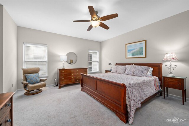 0N296 N Mill Creek Dr, Geneva, IL 60134 - photo 15